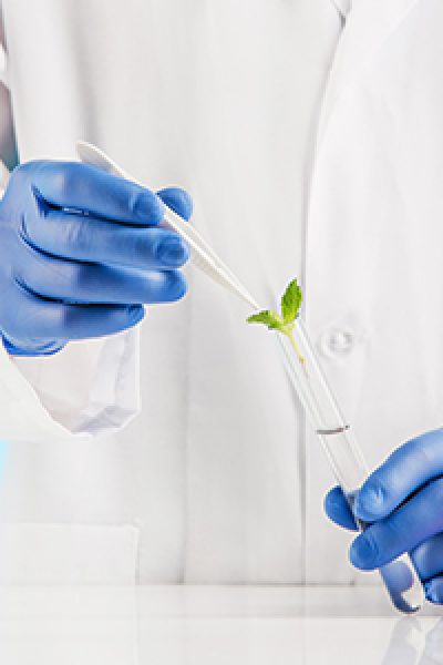 FORMULATION-DEVELOPMENT